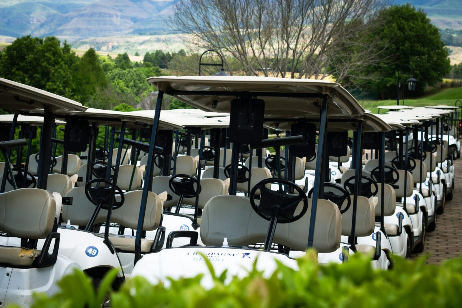 Home A line of parked golf carts on a lush golf course with mountains in the background.